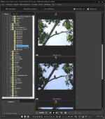 DPP 4 RAW SX50HD.jpg