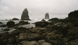 LowTideAtHaystackRock.jpg
