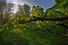 DSCF6660.jpg