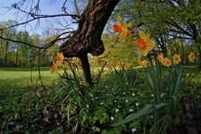 DSCF6675.jpg
