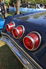 Closeup-Impala65.jpg