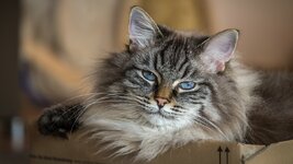 verkleinert_Lightroom Hami 01.jpg
