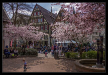 CRW_0409_01_Sabine.jpg CRW_0409_01_Sabine.jpg