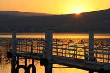 IMG_4081a.jpg
