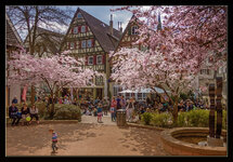 CRW_0409_01_Sabine-reflektor efex.jpg