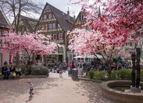 CRW_0409_01.jpg CRW_0409_01.jpg