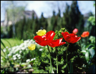 ETRSi_Ektar100_2016_04_19-13_web.jpg