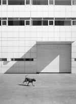 BarcaT-Max100Xtol1+1FujGA645i016.jpg