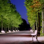 hofgarten_1.jpg