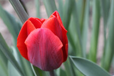 www-0117.jpg