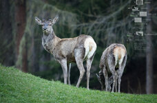 P5060013.jpg P5060013.jpg