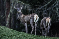 P5060013.jpg P5060013.jpg