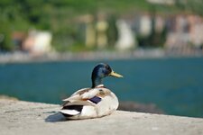 DSCF8187.jpg