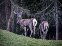 P5060013.jpg P5060013.jpg