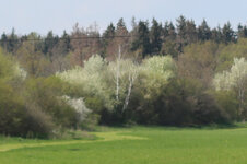 80D_Test_Blende32-1.jpg