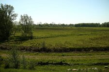 comp_IMGM3_04296.jpg