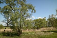 comp_IMGM3_04346.jpg