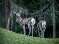 P5060013_2.jpg P5060013_2.jpg