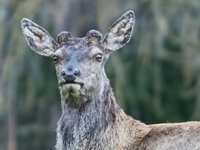 P5060013_100.jpg P5060013_100.jpg