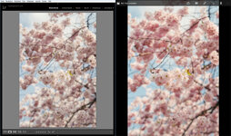 Screenshot (25).jpg