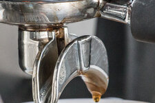 IMG_3317crop.jpg