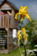 DSC_1831_DxO.jpg
