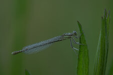 DSC_4434.jpg