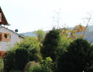 IMG_2472c.jpg