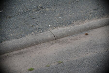 DA* 300 mm + TC1,4.jpg