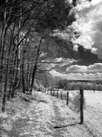 f828_20160423_DSC00435_sw.jpg