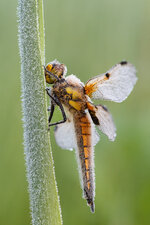 20130519-IMG_8396.jpg