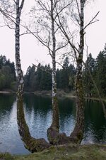 Aufgabe 5-5.jpg
