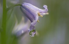 Kleen-IMG_9010.jpg