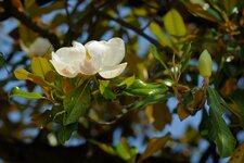 DSCF7853.jpg