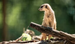 kleingerechnet_3A9E3006-1.jpg