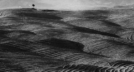 DSC_5311-Bearbeitet.jpg DSC_5311-Bearbeitet.jpg