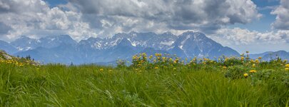 comp_IMG_4313-2.jpg