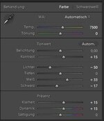 LR Einstellung G5x 1.JPG