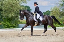 comp_2016_07_09_152922_D50_1832-C1 1.jpg