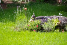 _IMG0023.jpg