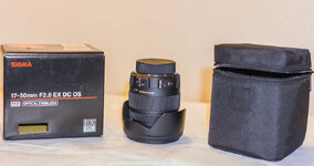 DSC01010.jpg
