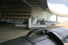 IMG_9035_top.jpg