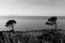 IMG_1175-4.jpg IMG_1175-4.jpg