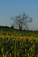 DSCF8544.jpg