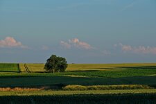DSCF8549.jpg