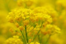 _DSC_0167.jpg