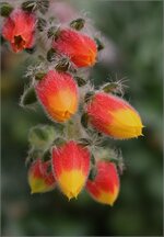 Web_IMG_1174.jpg