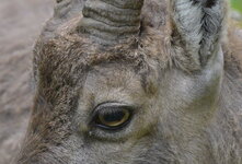 Bild 3_DSC3519 f8 400mm.jpg