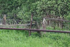 d_300 + 2.0 + 1.4_840mm.JPG