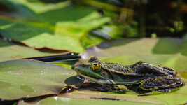 DSC_3670_1.jpg